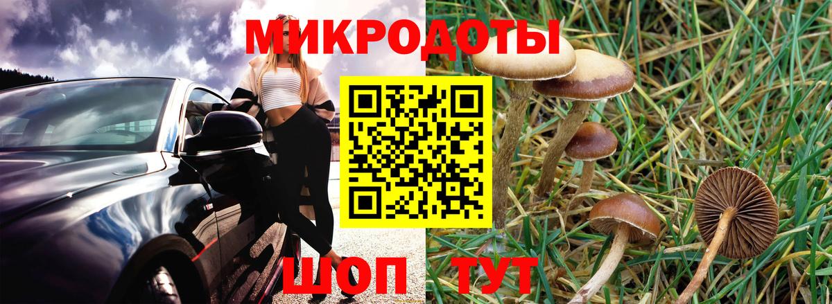 Псилоцибиновые грибы GOLDEN TEACHER  Вход с VPN  Галлюциногенные грибы мицелий  Сыктывкар 